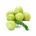 EasySeeds™ Amla , Indian gooseberry ,Amalaka, Phyllanthus emblica,Nilli, Aonla,myrobalan,Malacca tree Seeds