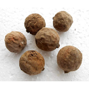 EasySeeds™ Baheda, Terminalia Bellirica, Bibhitaki, Bastard myrobalan, Bahera, Triphala Seeds