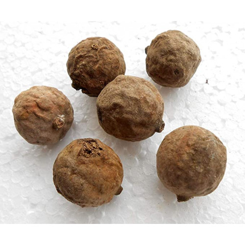 EasySeeds™ Baheda, Terminalia Bellirica, Bibhitaki, Bastard myrobalan, Bahera, Triphala Seeds