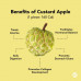 EasySeeds™ Custard Apple, Sweet Apple, Sugar Apple, Sweetsop, Netted Custard Apple, Annona Reticulata,Bull's heart, Sitaphal Seeds