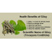 EasySeeds™ Fresh Giloy Plant Stems, Guduchi,Tinospora Cordifolia, Immunity Booster, Ayurvedic Giloy Sticks 6 inch long