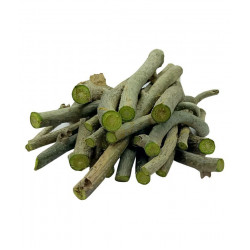 EasySeeds™ Fresh Giloy Plant Stems, Guduchi,Tinospora Cordifolia, Immunity Booster, Ayurvedic Giloy Sticks 6 inch long