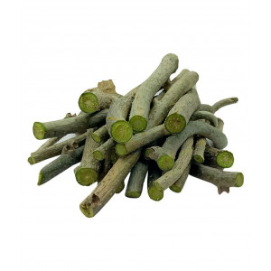 EasySeeds™ Fresh Giloy Plant Stems, Guduchi,Tinospora Cordifolia, Immunity Booster, Ayurvedic Giloy Sticks 6 inch long