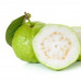 EasySeeds™ Guava , Psidium guajava, the common guava, yellow guava, lemon guava, apple guava ,Amrood Seeds