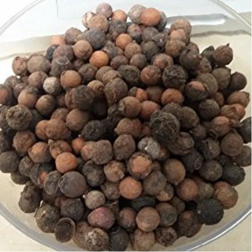 EasySeeds™ Santalum album, White Sandal Wood, Chandan ,Indian sandalwood, Sirium myrtifolium, Santalum ovatum Seeds