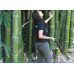 EasySeeds™ Bambusa gigantea,Giant Bamboo, Dragon Bamboo, Dendrocalamus giganteus Seeds